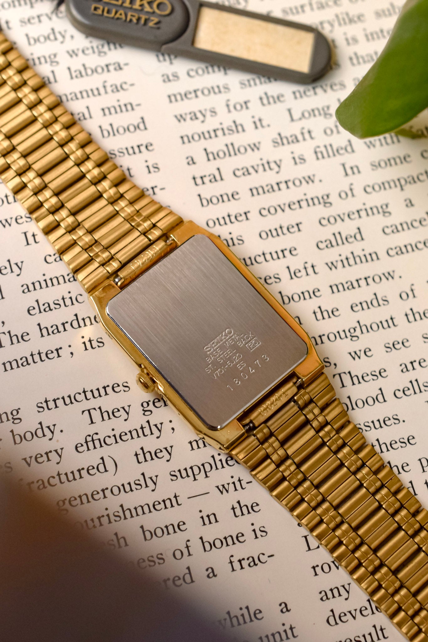1991 Seiko SX Golden Arabic Numeral Tank - NOS
