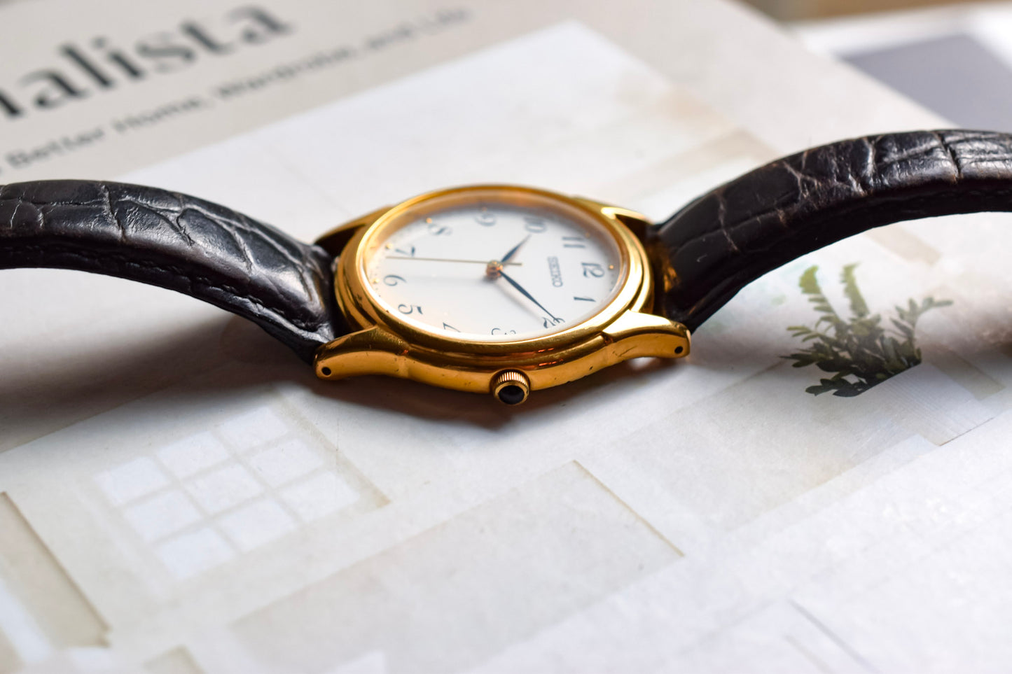 1996 Seiko Crab Claw Breguet Numerals