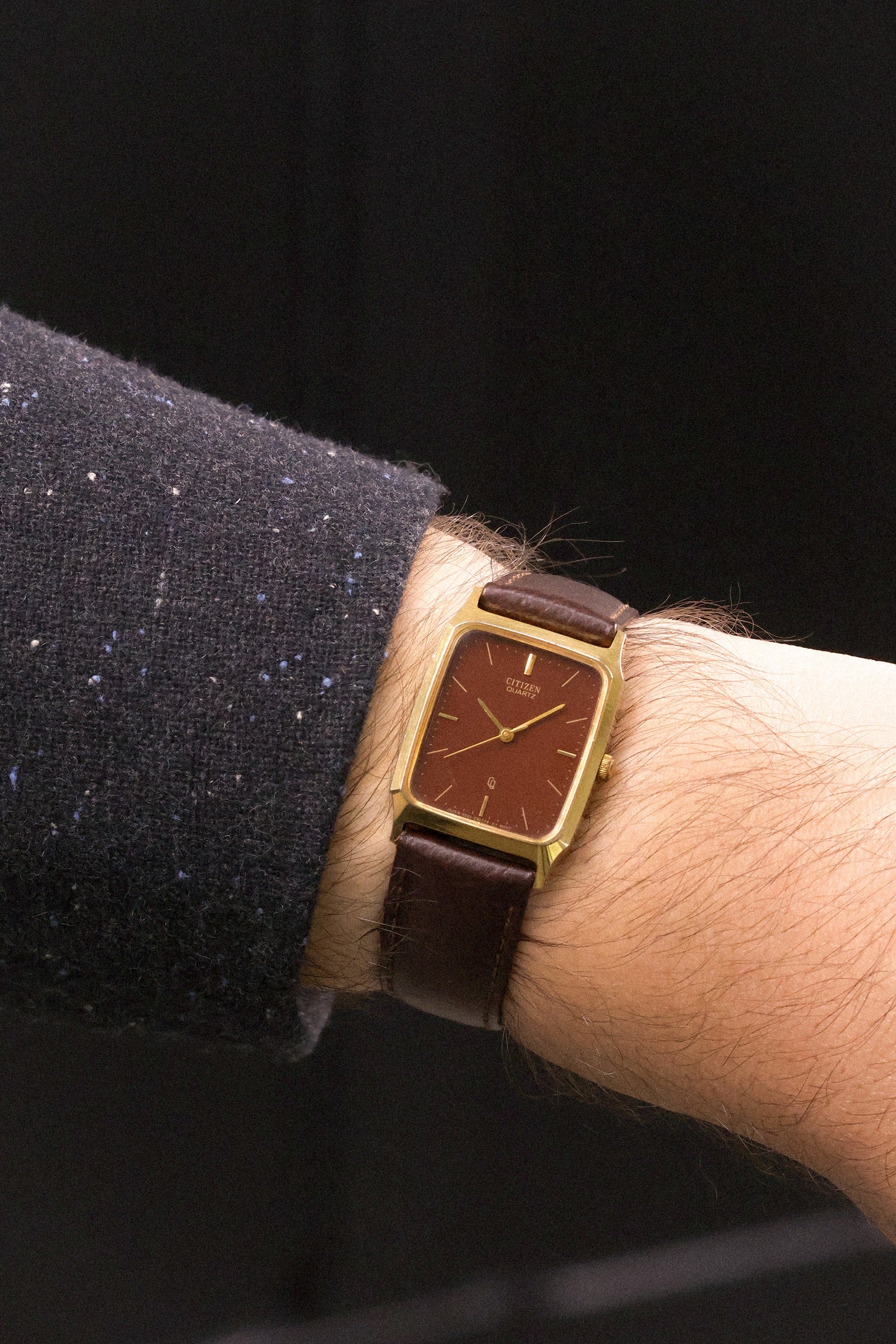1982 Citizen Chocolate Dial Octo