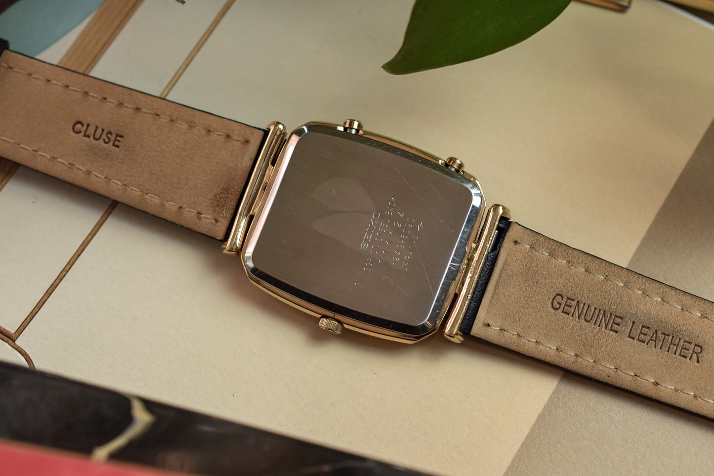 Special listing for C. Sanchez