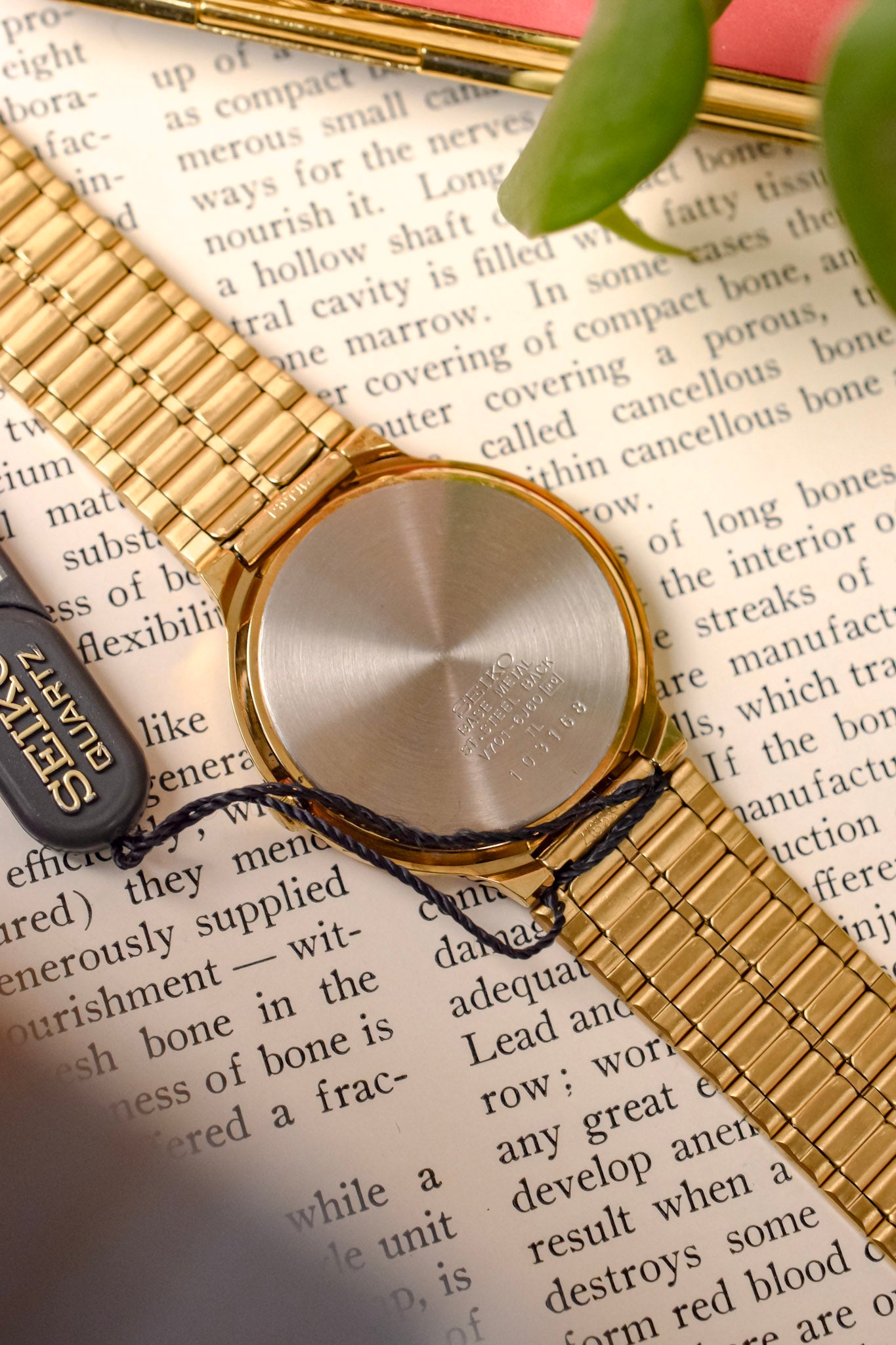 1991 Seiko SX Golden Roman Gilt Sector Dial - NOS