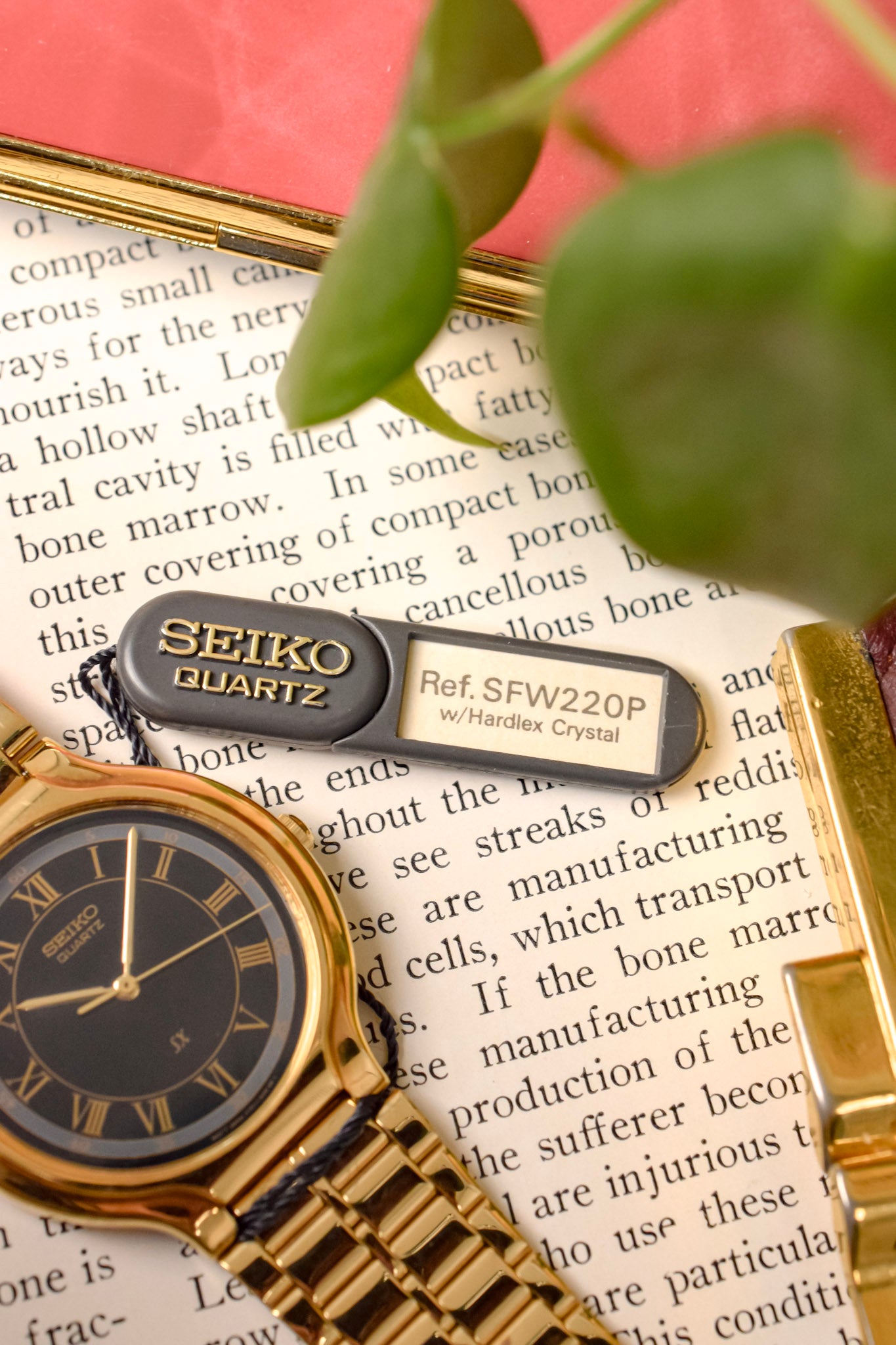 1991 Seiko SX Golden Roman Gilt Sector Dial - NOS