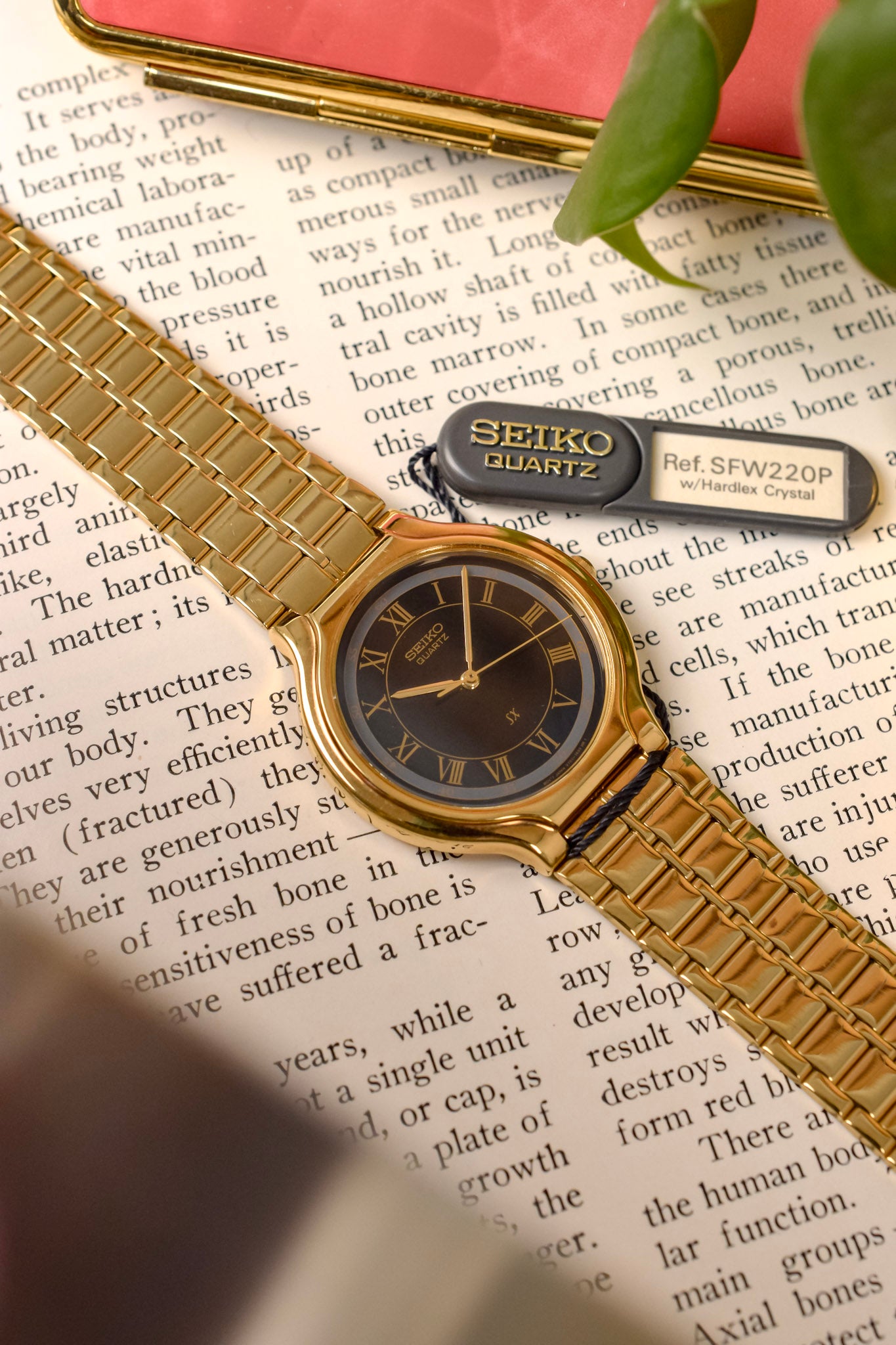 1991 Seiko SX Golden Roman Gilt Sector Dial - NOS