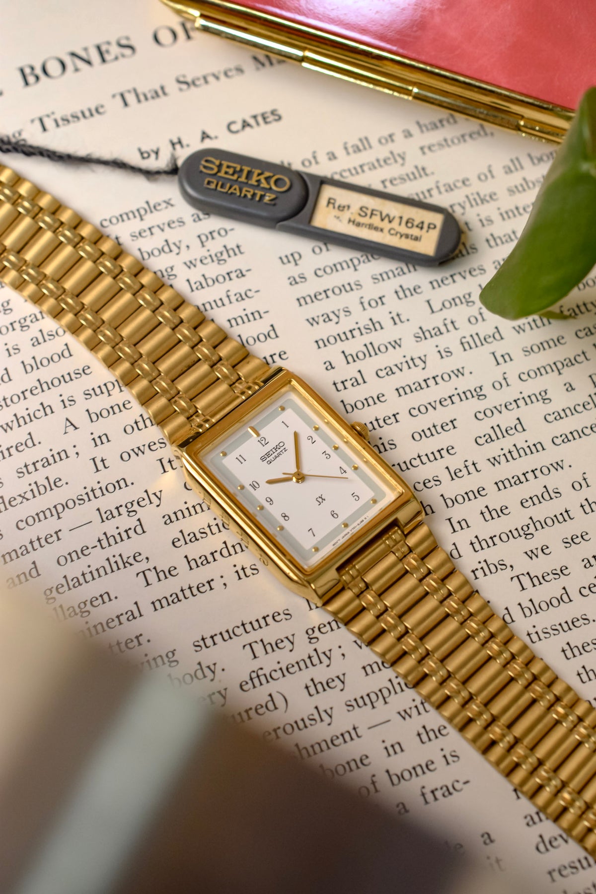 1991 Seiko SX Golden Arabic Numeral Tank - NOS – Oldtimer Watch Shop