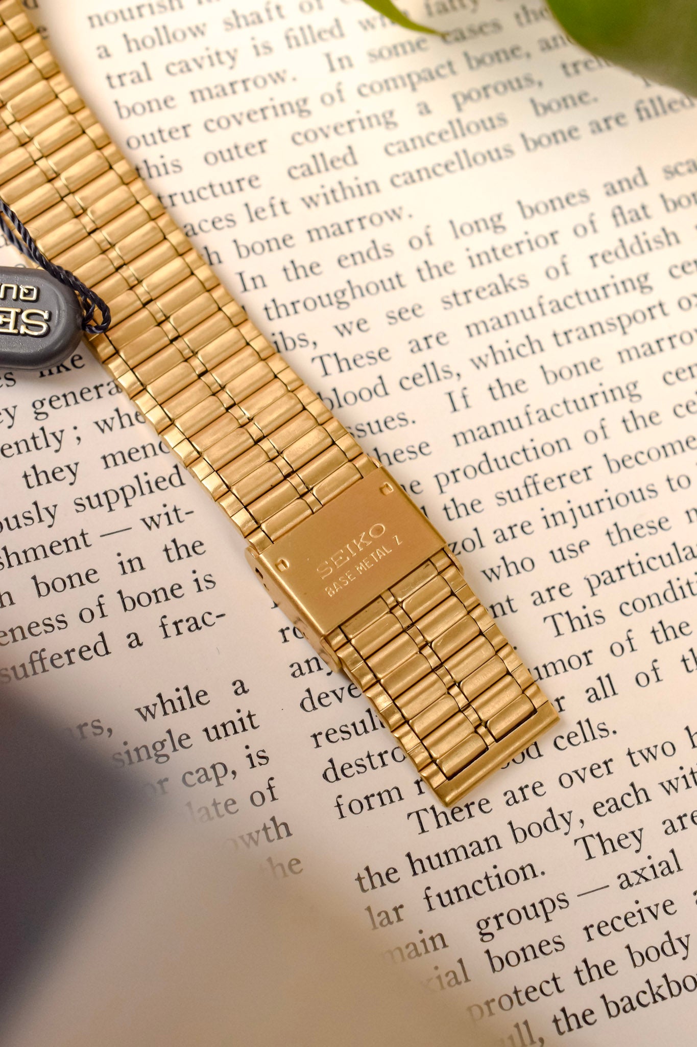 1991 Seiko SX Golden Roman Gilt Sector Dial - NOS
