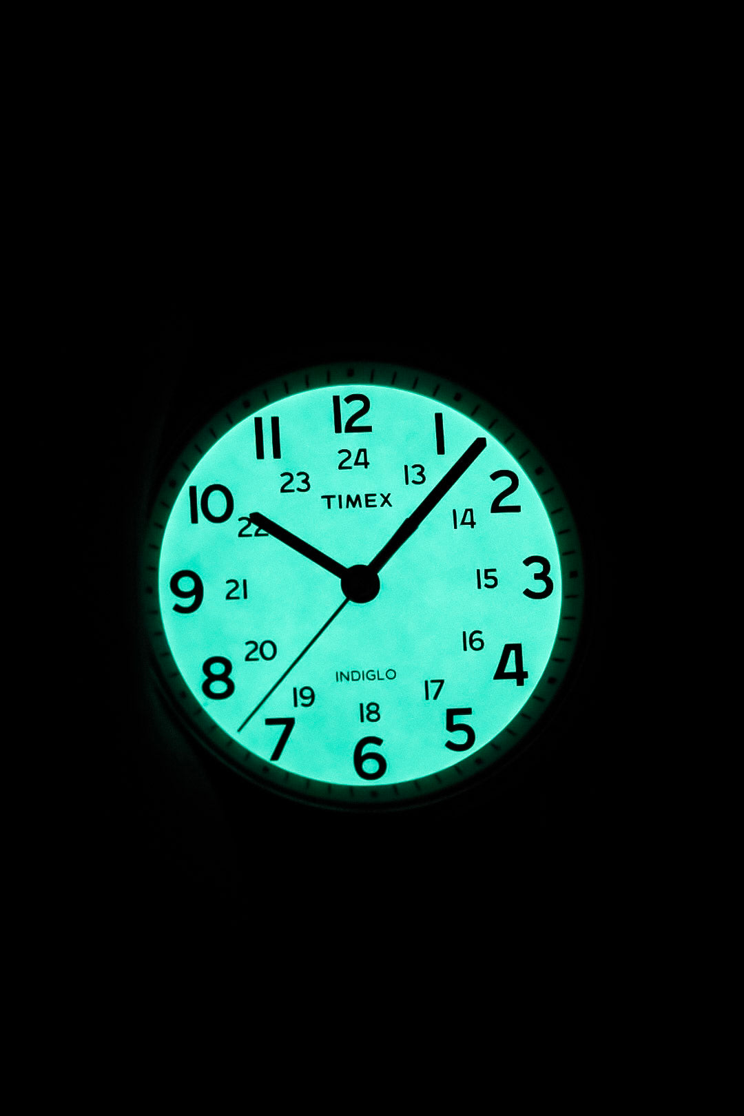 2014 Timex Indiglo Weekender