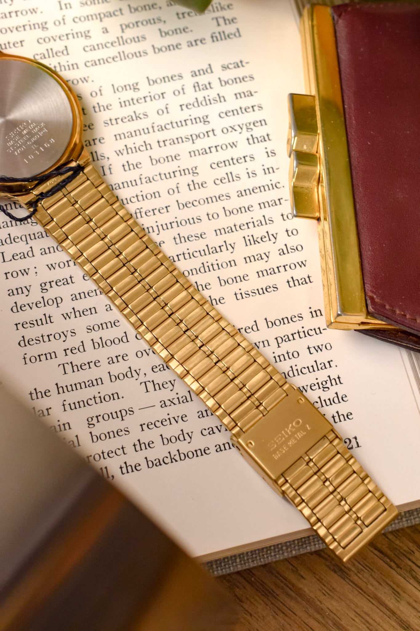 1991 Seiko SX Golden Roman Gilt Sector Dial - NOS