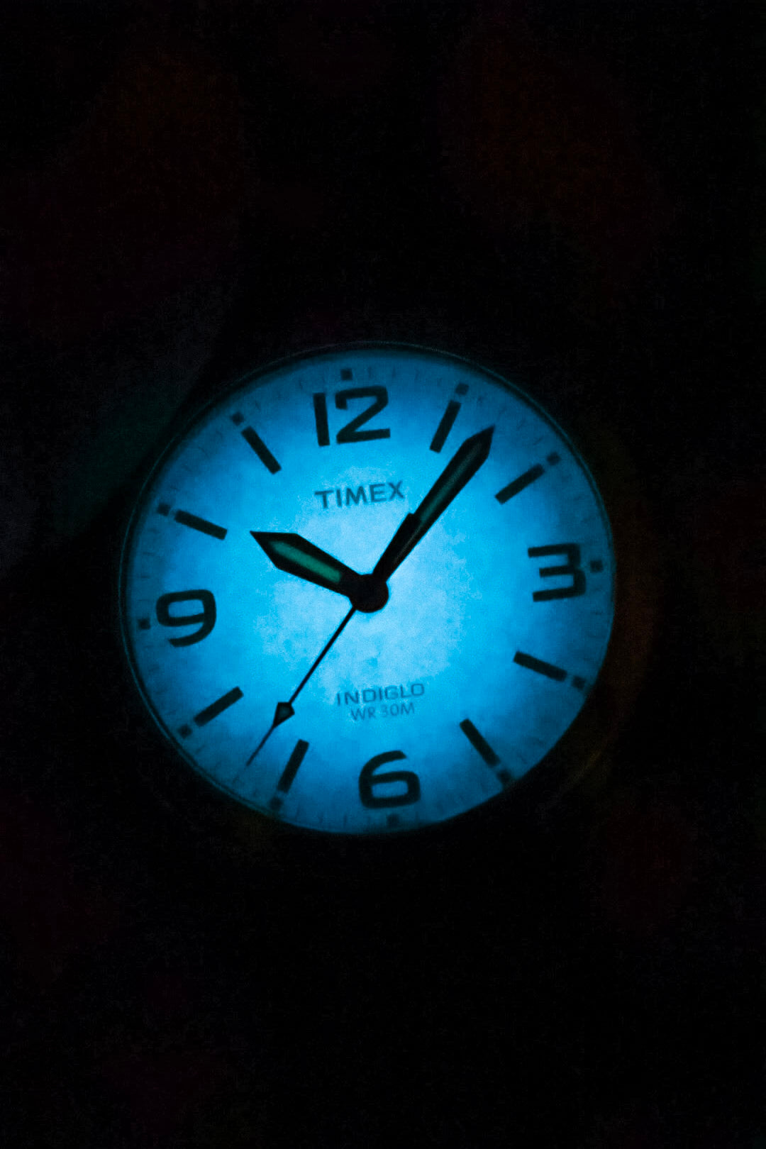 2011 Timex WR Fume Explorer Dial Indiglo