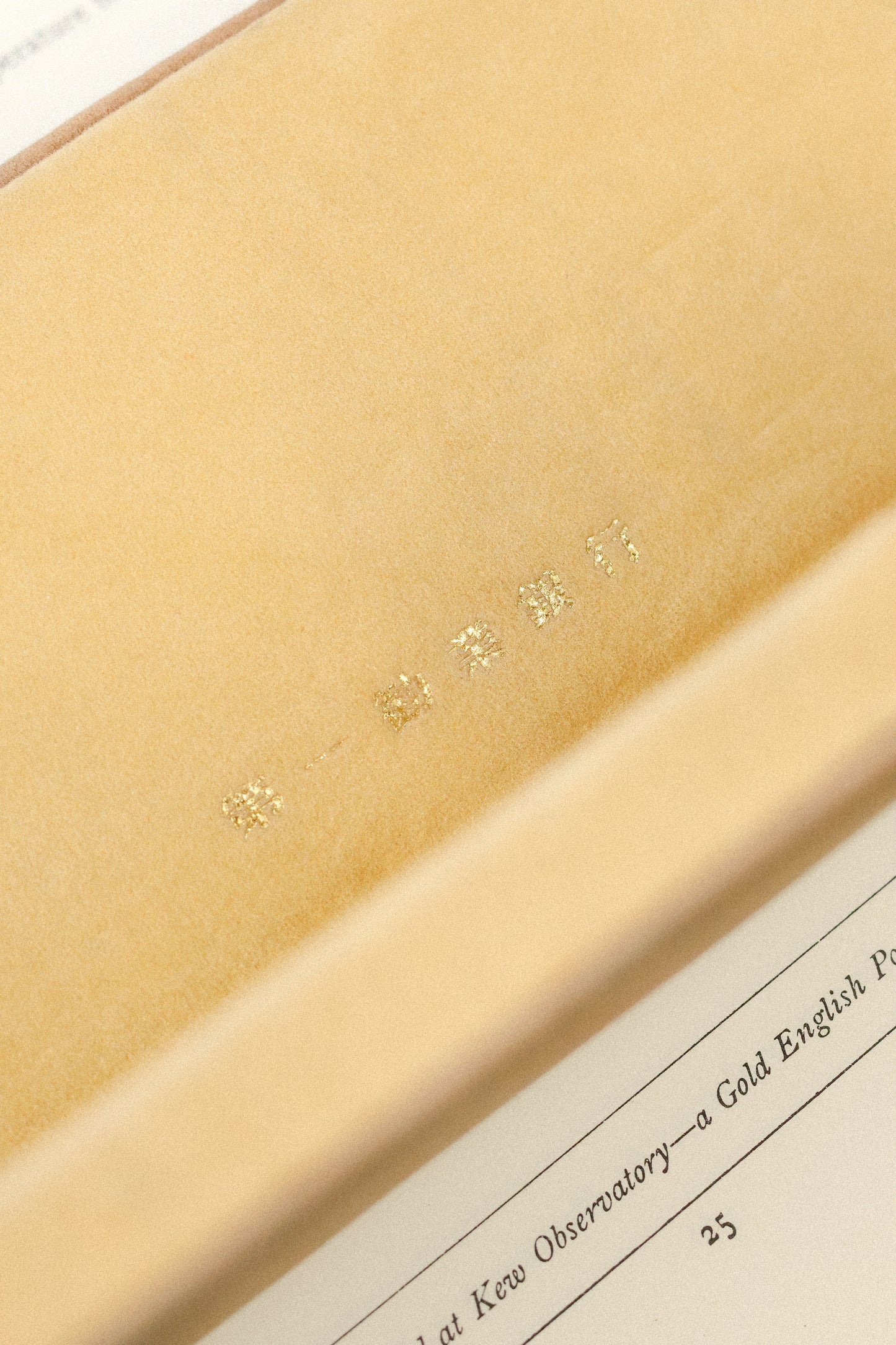 Special listing for L. Yang